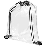 Example of approved clear bag